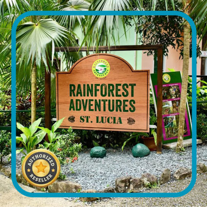 Rainforest Adventures Saint Lucia